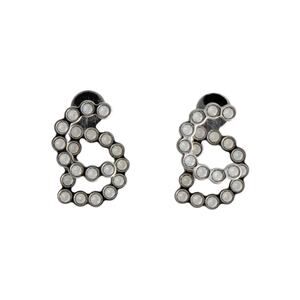 Adorable Dior Silver-tone Crystal 30 Montaigne Stud Earrings
